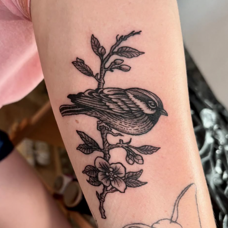 tatoueur réalisme lyon tatoueur blackwork lyon tatoueur semi réalisme lyon tatoueur dotwork lyon